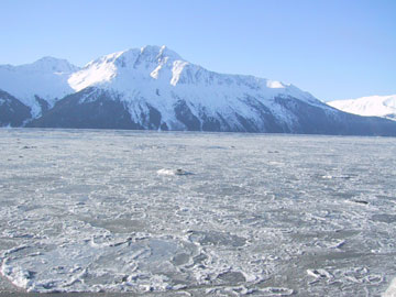 turnagain_ice.jpg