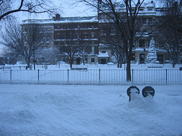blizzard_2005_2.jpg