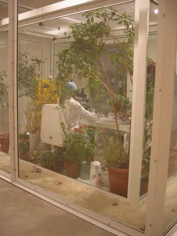 mfa_hirst.jpg